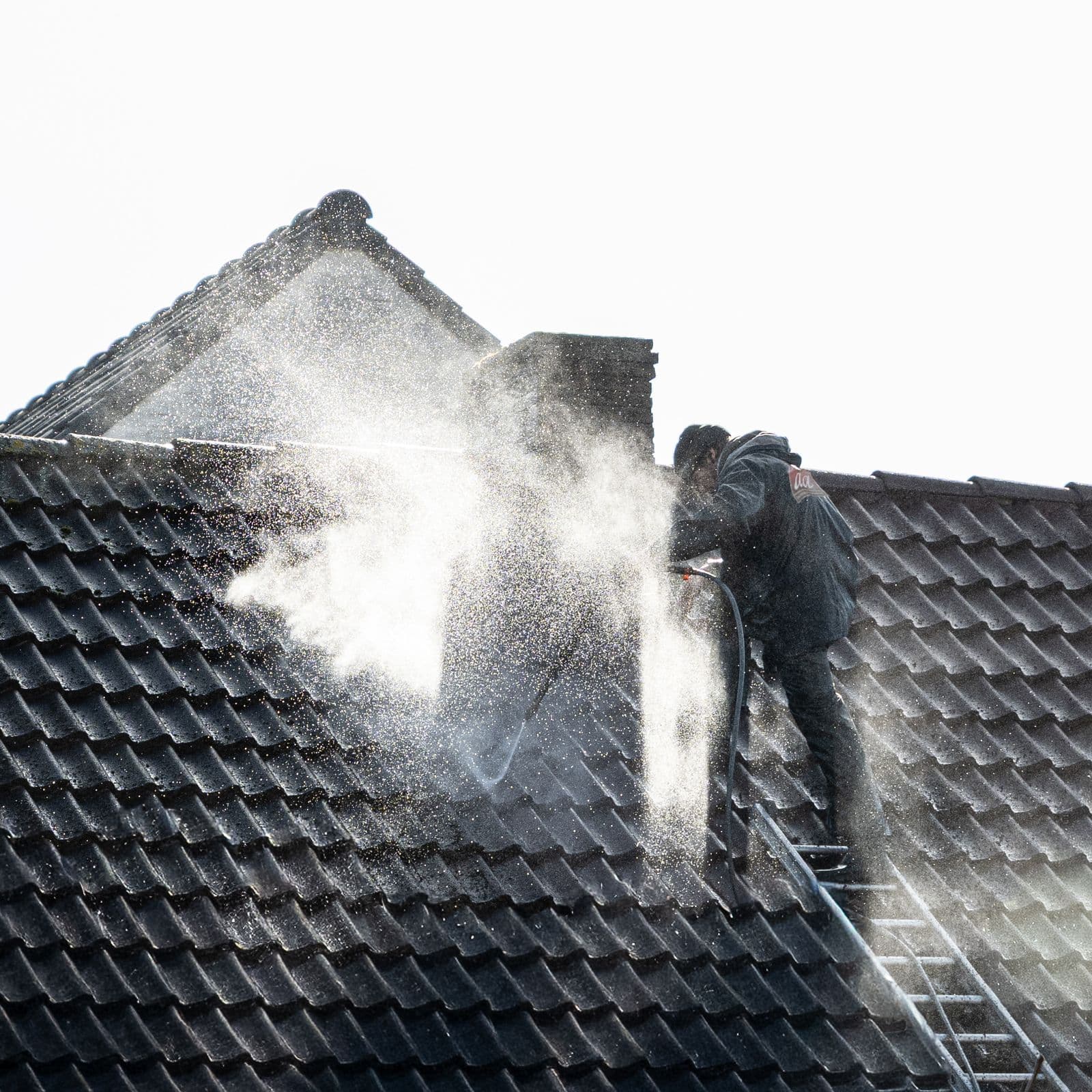 Roof Cleaning